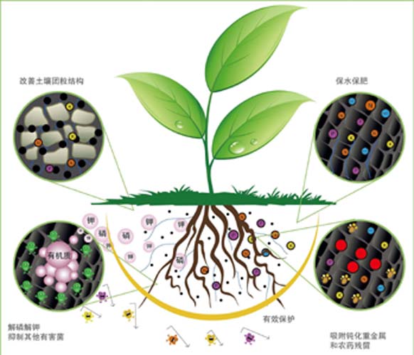 哪些肥料不可混用
